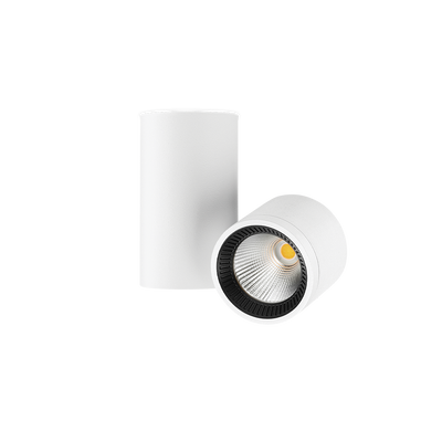 Точковий світильник Arkos Light Io Surface A2630032WT, Білий, Білий