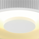 Світильник стельовий SLV OCCULDAS 117321, Білий, Білий, Білий, Білий