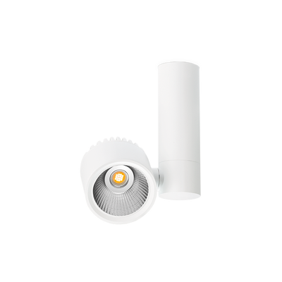 Точковий світильник Arkos Light Zen Tube 3000K, White