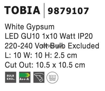 Врізний точковий світильник Nova Luce TOBIA 1 White