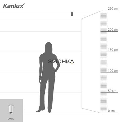 Точковий світильник Kanlux CHIRO GU10 DTO-W 29310