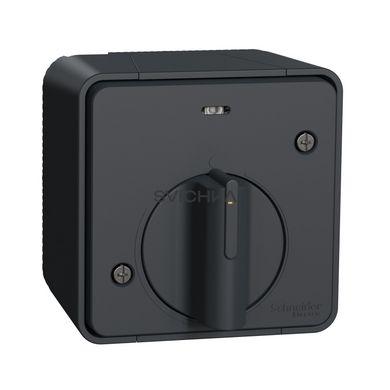 Вимикач із таймером IP55 для поверхневого монтажу Schneider Electric Mureva Styl, Чорний, Чорний