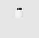 Настінно-стельовий світильник Labra Xilo mini S White